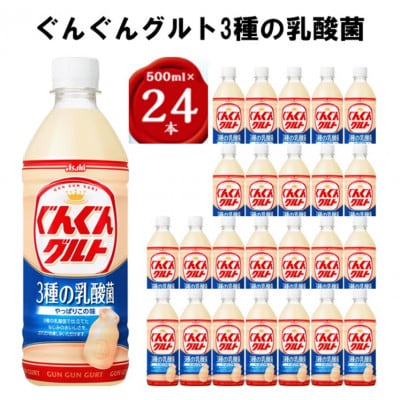 【2ヵ月毎定期便】『ぐんぐんグルト』3種の乳酸菌PET500ml　24本　隔月全6回