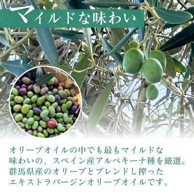 クラフトオリーブオイル(6本セット)プレーン・バジル・ガーリック・大葉・ゆず・レモン