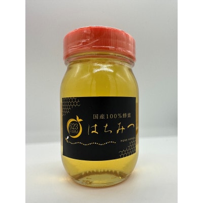 生蜂蜜　600g