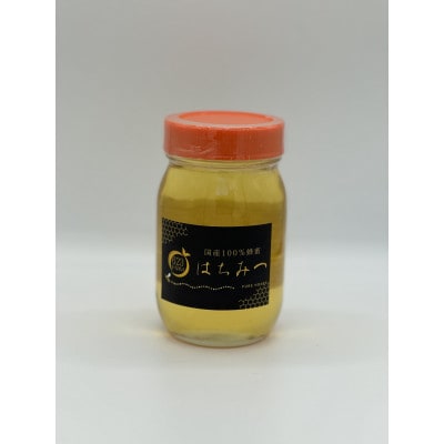 生蜂蜜　600g
