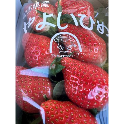いちご(やよいひめ)　1箱(4パック入)