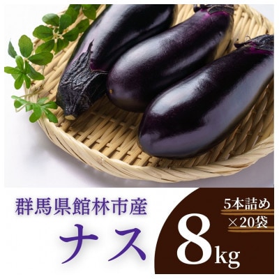 群馬県館林産 ナス 8kg　『5本詰め×20袋』