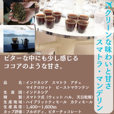 インドネシア マンデリン アチェ 中深煎り 500g ×2【ペーパーフィルター用の中挽き】