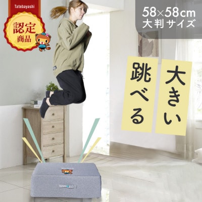 ぽんちゃん トランポリンクッション (ライトグレー) 58cm×58cm 高反発 室内用