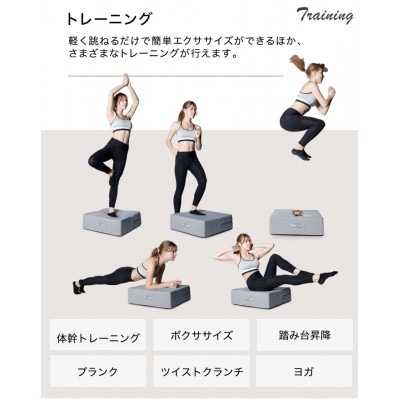 ぽんちゃん トランポリンクッション (ライトグレー) 50cm×50cm 高反発 室内用
