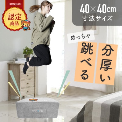 ぽんちゃん トランポリンクッション (ライトグレー) 40cm×40cm 高反発 室内用