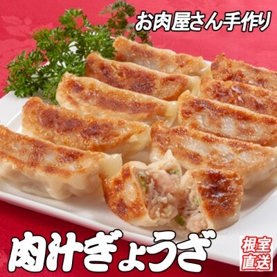 餃子25個×3P B-36041