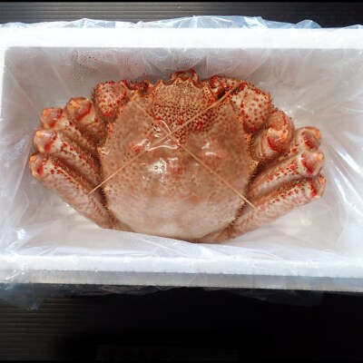 ボイル毛がに(新物)900g～1.1kg×1尾 D-28054