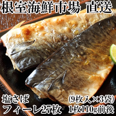 塩さば9枚×3P「計27枚、約2.9kg」 A-11171