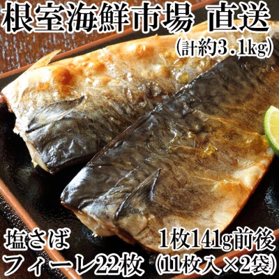 さば11枚×2P「計22枚、約3.1kg」 A-11172