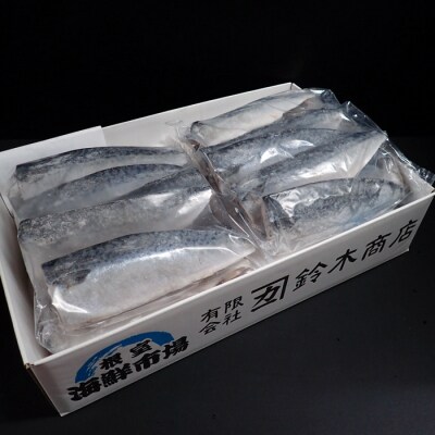 さば11枚×2P「計22枚、約3.1kg」 A-11172