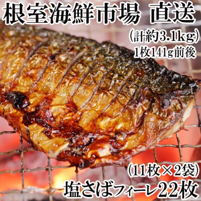 さば11枚×2P「計22枚、約3.1kg」 A-14187