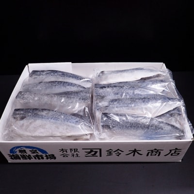 さば11枚×2P「計22枚、約3.1kg」 A-14187