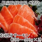 お刺身トラウトサーモン約300～400g×2P A-28130