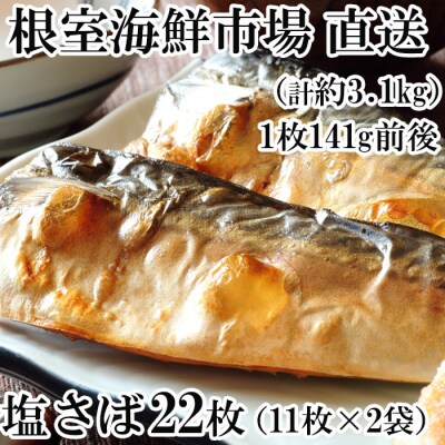 さば11枚×2P「計22枚、約3.1kg」 A-28174