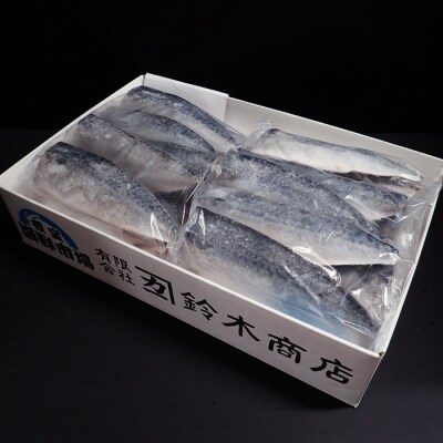 さば11枚×2P「計22枚、約3.1kg」 A-28174