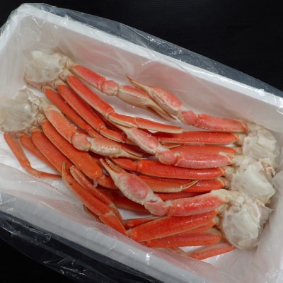 本ズワイガニ脚2kg(5～7肩) B-14072