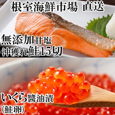 いくら醤油漬け(鮭卵)70g×1P、沖獲れ鮭15切 A-11152