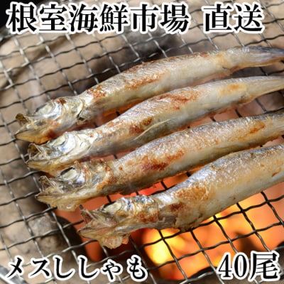 メスししゃも40尾(10尾×4串) A-11216