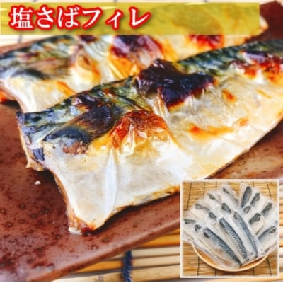 お刺身トラウトサーモン600g、塩さばフィレ1枚×8P A-09064