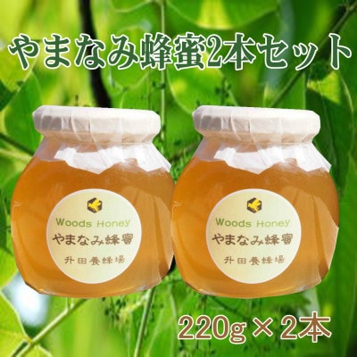 国産純粋はちみつ 升田養蜂場の『やまなみ蜂蜜2本セット』220g2本入