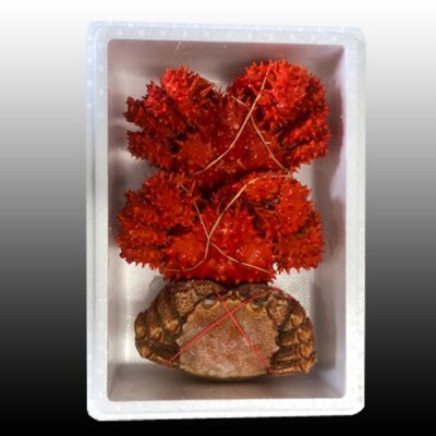 毛かに400～550g・花咲かに500～650g×2尾 C-30071