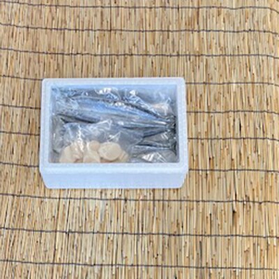 生さんま5尾×2P・ほたて貝柱200g×1Pセット A-76016