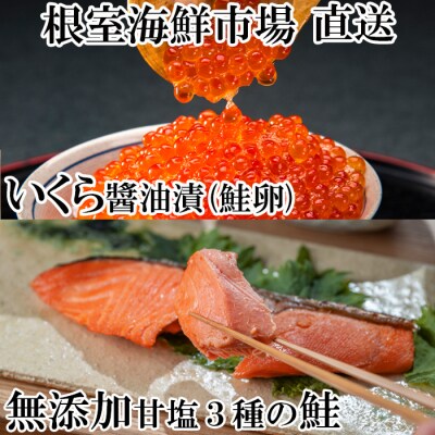 天然鮭3種各5切、いくら(鮭卵)70g×2P A-28088