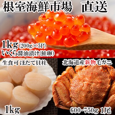 いくら(鮭卵)200g×5P、ほたて貝柱1kg、毛がに1尾 D-11027