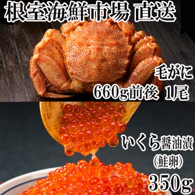 毛ガニ660g前後×1尾、いくら醤油漬(鮭卵)70g×5P B-28027