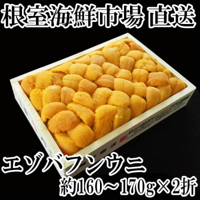 エゾバフンウニ(黄系)160～170g×2折 D-28041