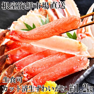 生食可!カット済み生ずわいがに約1.2kg B-14101
