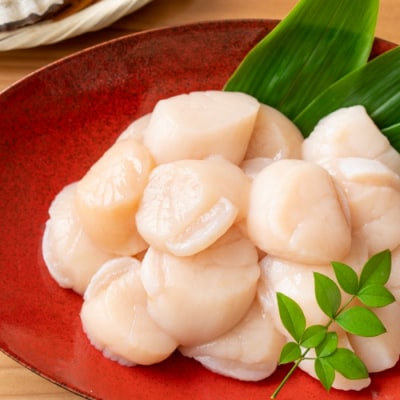 ほたて貝柱300g&トラウトサーモン1～2P(計600g) A-09129
