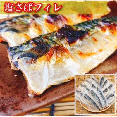 サーモン2～4P&塩さばフィレ1枚×20P B-09092