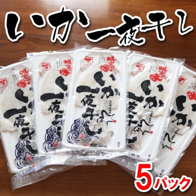 いか一夜干し1枚×5P A-32036