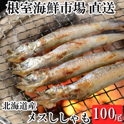 メスししゃも10尾×10串(計100尾) B-11107