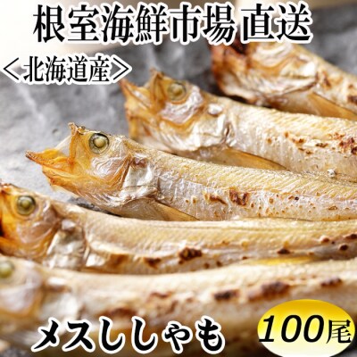 メスししゃも10尾×10串(計100尾) B-14109