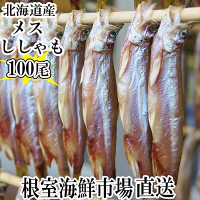 メスししゃも10尾×10串(計100尾) B-28108