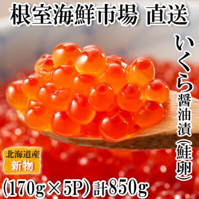 いくら醤油漬け(秋鮭卵)(新物)170g×5P C-11022