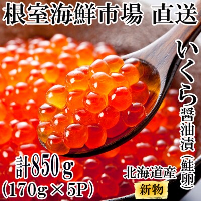いくら醤油漬け(秋鮭卵)(新物)170g×5P C-14022