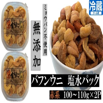 エゾバフンウニ塩水パック(赤系)100～110g×2P B-88001