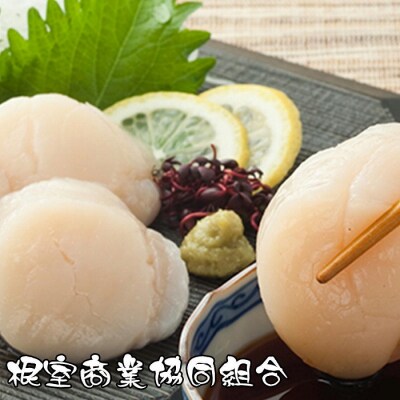 ほたて貝柱300g G-18010