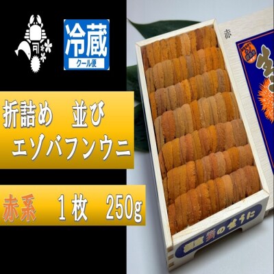 折詰めエゾバフンウニ並び(赤系)約250g×1折 F-88002