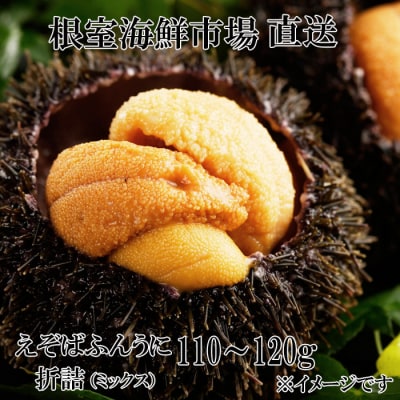 エゾバフンウニ(赤系・黄系)バラ詰め110～120g×1折 A-14251
