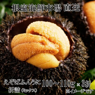 エゾバフンウニ(赤系・黄系)バラ詰め100～110g×3折 C-14055