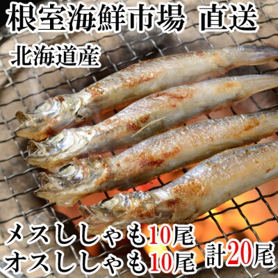 本ししゃも(オス・メス)各10尾セット G-11014