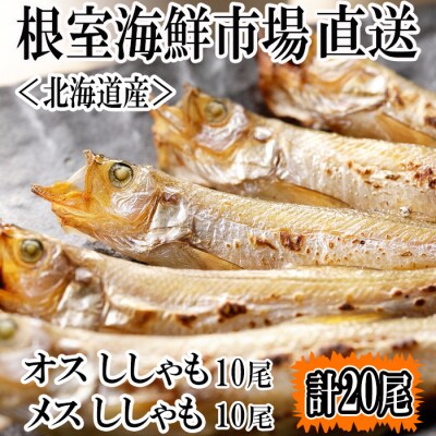 本ししゃも(オス・メス)各10尾セット G-14014