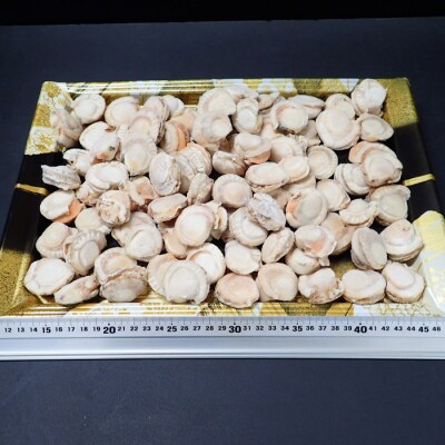 生食用ボイル済ベビーほたて800g(80～160玉) G-11036