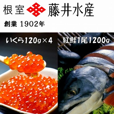 紅鮭新巻1.2kg、いくら醤油漬け120g×4P F-42004