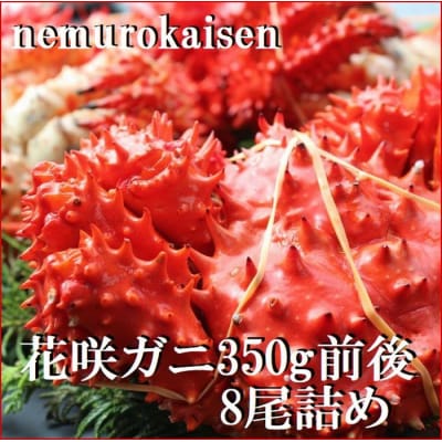 【北海道根室産】花咲ガニ350g×8尾 C-57048